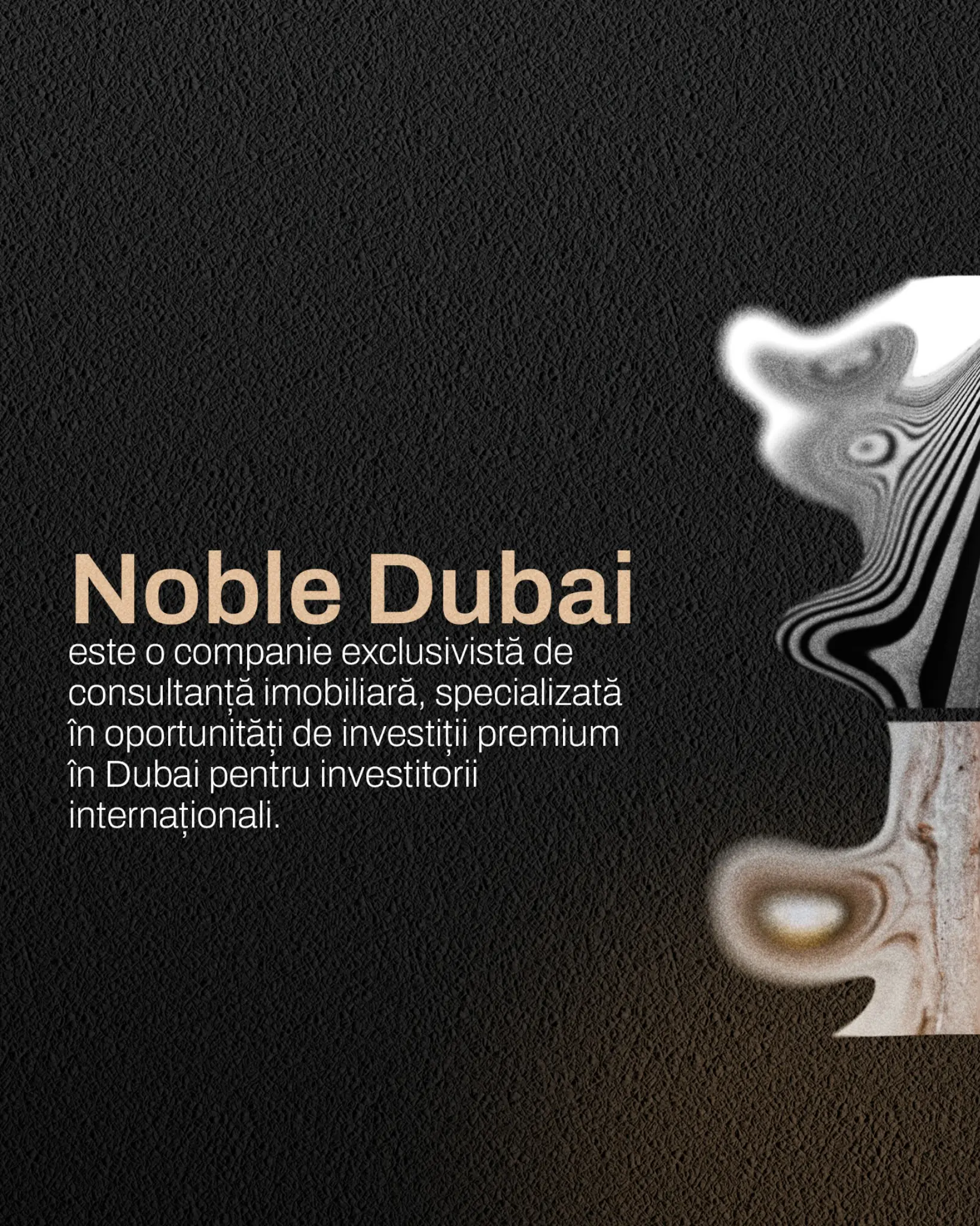 Website Nobel Dubai Properties