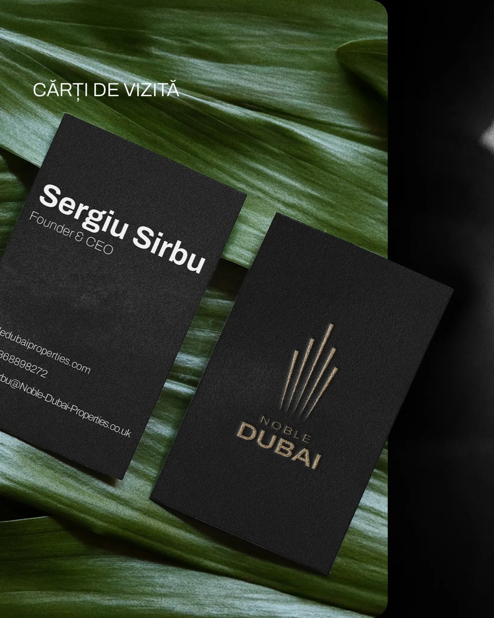 Cărți de vizită Nobel Dubai Properties